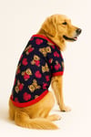 Büyük Irk Big Bear Köpek Kıyafeti Köpek Sweati (11-45 KG)
