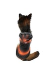 Büyük Irk Black-neon Oranj Puf Köpek Montu-köpek Yağmurluğu