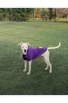 Büyük Irk Civciv Köpek Sweati-köpek Kiyafeti
