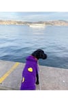 Büyük Irk Civciv Köpek Sweati-köpek Kiyafeti