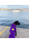 Büyük Irk Civciv Köpek Sweati-köpek Kiyafeti