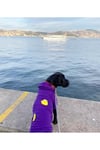 Büyük Irk Civciv Köpek Sweati-köpek Kiyafeti