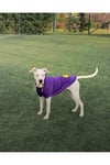 Büyük Irk Civciv Köpek Sweati-köpek Kiyafeti