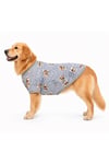 Büyük Irk Gray Love Yazlık Köpek T-Shirt Köpek Kıyafeti (11-45KG)