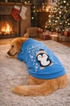 Büyük Irk Hello Winter Köpek Kıyafeti Köpek Sweati (11-45KG)
