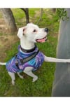 Büyük Irk Metallic Purple Anorak Kolsuz Puf Mont