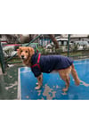 Büyük Irk Navy Köpek Yağmurluğu -köpek Kiyafeti