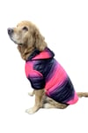 Büyük Irk Pink Neon-black Anorak Puf Köpek Montu