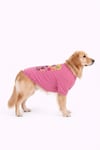 Büyük Irk SUNSHINE Köpek Kıyafeti Köpek Sweati (11-45KG)