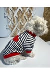 Dogi&Dog Küçük Irk Heart Kedi - Köpek Tshirth (0,5-10 KG)