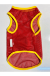 Dogi&Dog Küçük Irk Red Ball File Atlet (1-10KG)