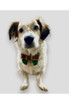 Ekose green noel kedi& köpek papyonu