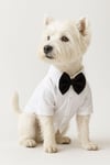 Küçük Irk %100 Pamuk Yazlık Papyonlu Beyaz Köpek Gömleği Kedi Gömleği Köpek Kıyafeti(1-10KG)