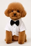 Küçük Irk %100 Pamuk Yazlık Papyonlu Beyaz Köpek Gömleği Kedi Gömleği Köpek Kıyafeti(1-10KG)