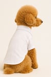 Küçük Irk %100 Pamuk Yazlık Papyonlu Beyaz Köpek Gömleği Kedi Gömleği Köpek Kıyafeti(1-10KG)