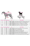 Küçük Irk Black Heart Köpek Regl İç Çamaşırı (0,5-10KG)