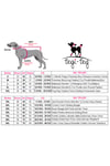 Küçük Irk Black Heart Köpek Regl İç Çamaşırı (0,5-10KG)