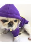Küçük Irk Civciv Kedi Köpek Sweati Kedi Köpek Kıyafeti