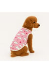 Küçük Irk Cloudy Kedi & Köpek Atleti (1 KG-10 KG)