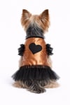 Küçük Irk Copper Heart Köpek Kıyafeti Köpek Elbisesi (1-10KG)