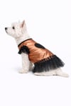 Küçük Irk Copper Heart Köpek Kıyafeti Köpek Elbisesi (1-10KG)