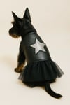 Küçük Irk Deri Rock Star Kedi Elbisesi Köpek Elbisesi Köpek Kıyafeti (1-10 KG)