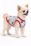 Küçük Irk Gray Dog Köpek Kıyafeti Köpek Atleti (1-10KG)