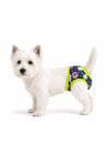 Küçük Irk Green Points Regli Çamaşırı Köpek Kıyafeti (1-10KG)