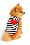Küçük Irk Heart Kedi Atleti & Köpek Atleti Köpek Kıyafeti (1 Kg -10 Kg )