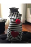 Küçük Irk Kalp Kedi-köpek Tulumu (1-10 Kg )