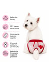 Küçük Irk Kırmızı Çizgili Kalp Detaylı Köpek Regl Çamaşırı (1-10KG)