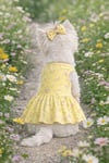 Küçük Irk Lemon Flowers Köpek Kıyafeti Köpek Elbisesi (1-10KG)