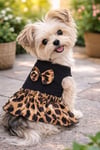 Küçük Irk Love Leopar Köpek Elbisesi Köpek Kıyafeti (1-10KG)