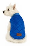 Küçük Irk Mavi Anorak Puf Kedi Köpek Kıyafeti Yelek (01-11 KG)