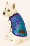 Küçük Irk Metalic Purple Anorak Puf Kedi&köpek Yeleği (1-11 Kg)