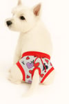 Küçük Irk Mix Heart Köpek Regl Çamaşırı Köpek Kıyafeti (1-15KG)