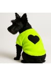 Küçük Irk Neon Green Heart Peluş Köpek Sweati Köpek Kıyafeti (1-10kg)
