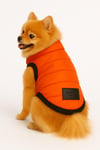 Küçük Irk Neon Orange Anorak Puf Kedi Köpek Kıyafeti Yeleği (01-11kg)