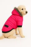 Küçük Irk Neon Pink Anorak Puf Köpek Montu (01-10kg Arası)