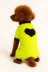 Küçük Irk Neon Yeşil Peluş Kışlık Polar Köpek Tulumu Köpek Kıyafeti Kedi Kıyafeti (1-10kg)