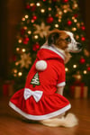 Küçük Irk Noel Anne Kıyafeti