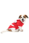 Küçük Irk Noel Baba Yılbaşı Kedi Köpek Kıyafeti (0,5-10KG)