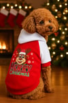 Küçük Irk Noel Yılbaşı Deer Köpek Kıyafeti Köpek Sweati (1-10KG)