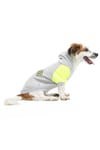 Küçük Irk Number Neon Sarı Kedi  Köpek Sweati  Kedi Köpek Kıyafeti