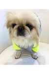 Küçük Irk Number Neon Sarı Kedi  Köpek Sweati  Kedi Köpek Kıyafeti