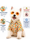 Küçük Irk Orange Köpek Kıyafeti Köpek Gömleği Kedi Gömleği (1-10KG)