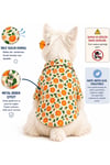 Küçük Irk Orange Köpek Kıyafeti Köpek Gömleği Kedi Gömleği (1-10KG)