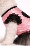 Küçük Irk Pink Varaklı Köpek Elbisesi Köpek Kıyafeti (1-10KG)