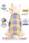 Küçük Irk Sarı Ekoseli Baharlık Köpek Gömleği Kedi Gömleği Köpek Kıyafeti (1-10KG)