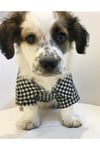 Küçük Irk Siyah Oduncu Kedi Köpek Gömleği Kedi Köpek Kiyafeti